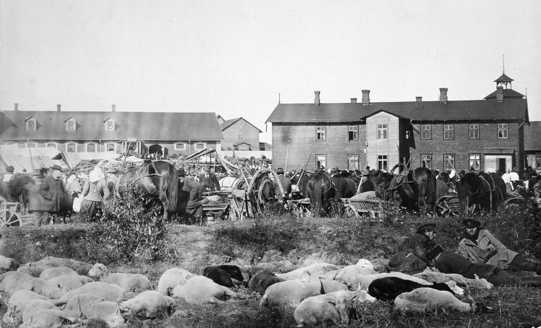 Hauka Laat 2021