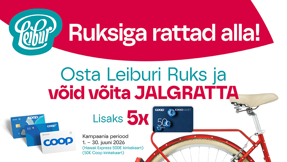 Leibur Ruks tarbijamäng