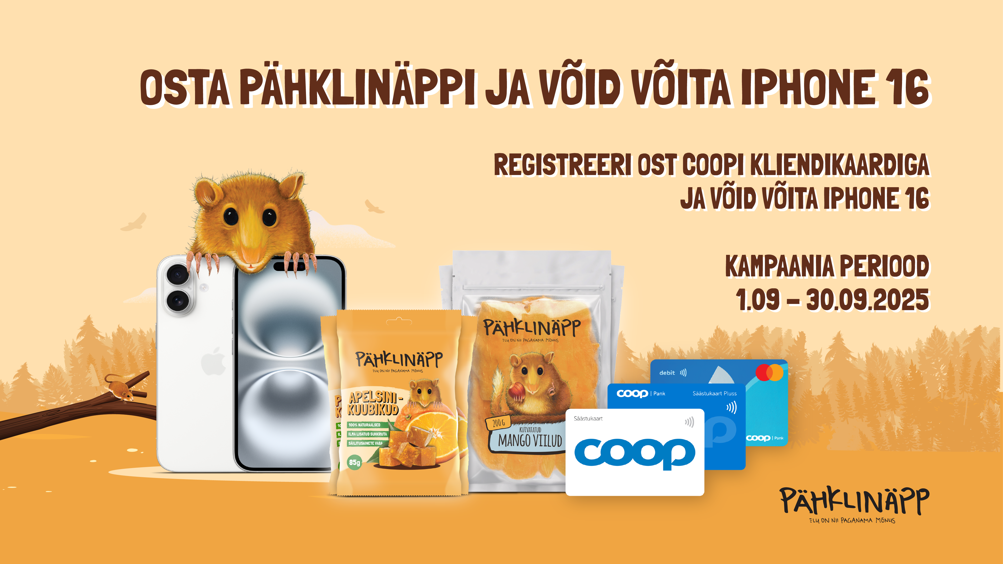 Pähklinäpp kampaania