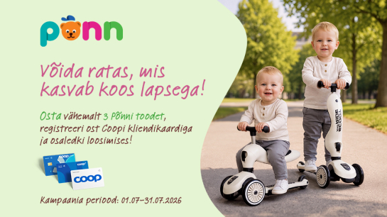 Salvest Põnn tarbijamäng