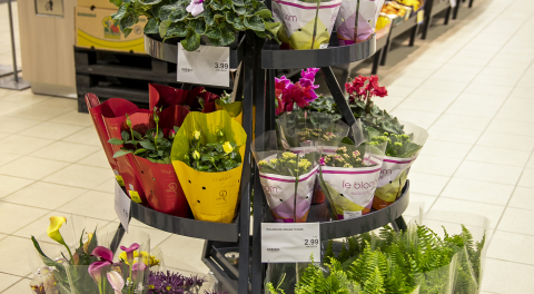 Uuenduskuuri läbinud Jõgevamaa Coopi kauplus on senisest veelgi suurem